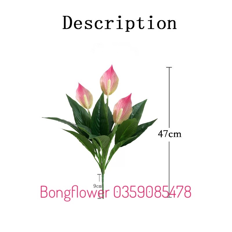 👉 Cây Hoa Lan Ý Giả cao 50cm 3 bông đủ màu hàng cao cấp giống thật 99%