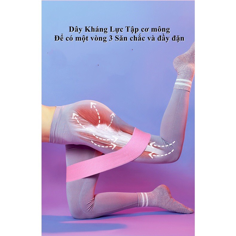 Dây Kháng Lực Tập Gym Dây Mini Band Tập Chân Mông Đùi Bền Chắc Siêu Co Giãn và Đàn Hồi Tốt