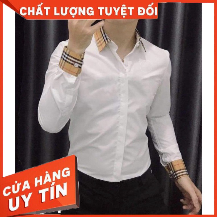 (HOT) Áo Sơ Mi Nam Dài Tay Mẫu 02 Chất Vải Cotton Không Nhăn - Hàng nhập khẩu