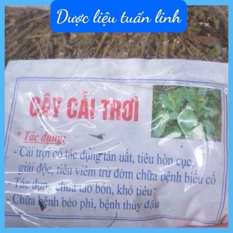 Cây cải trời khô[FREESHIP]Hỗ trợ bn u bướu, mẩn ngứa ngoài da -dltd
