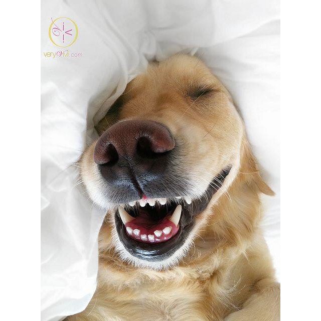 Sản phẩm giúp Boss có nụ cười thật tự tin😂😂😂