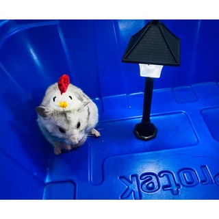 ĐÈN TRANG TRÍ CHUỒNG CHO HAMSTER