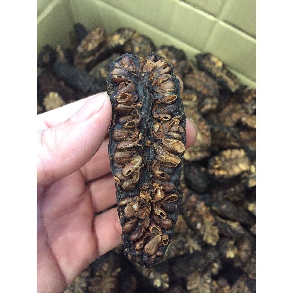 Trái nhàu khô Noni Green loại chín, to, đều | BigBuy360 - bigbuy360.vn