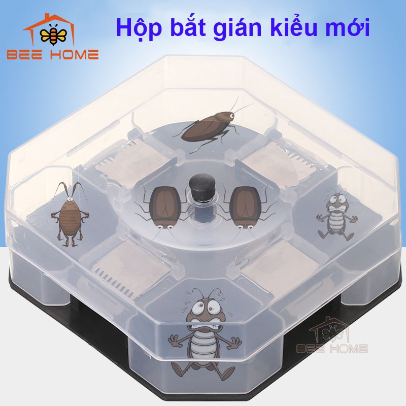 (MỚI) Hộp Bắt Gián Thông Minh SIZE LỚN_Bẫy Gián Bằng Phương Pháp Vật Lý, An Toàn, Hiệu Quả_ Beehome