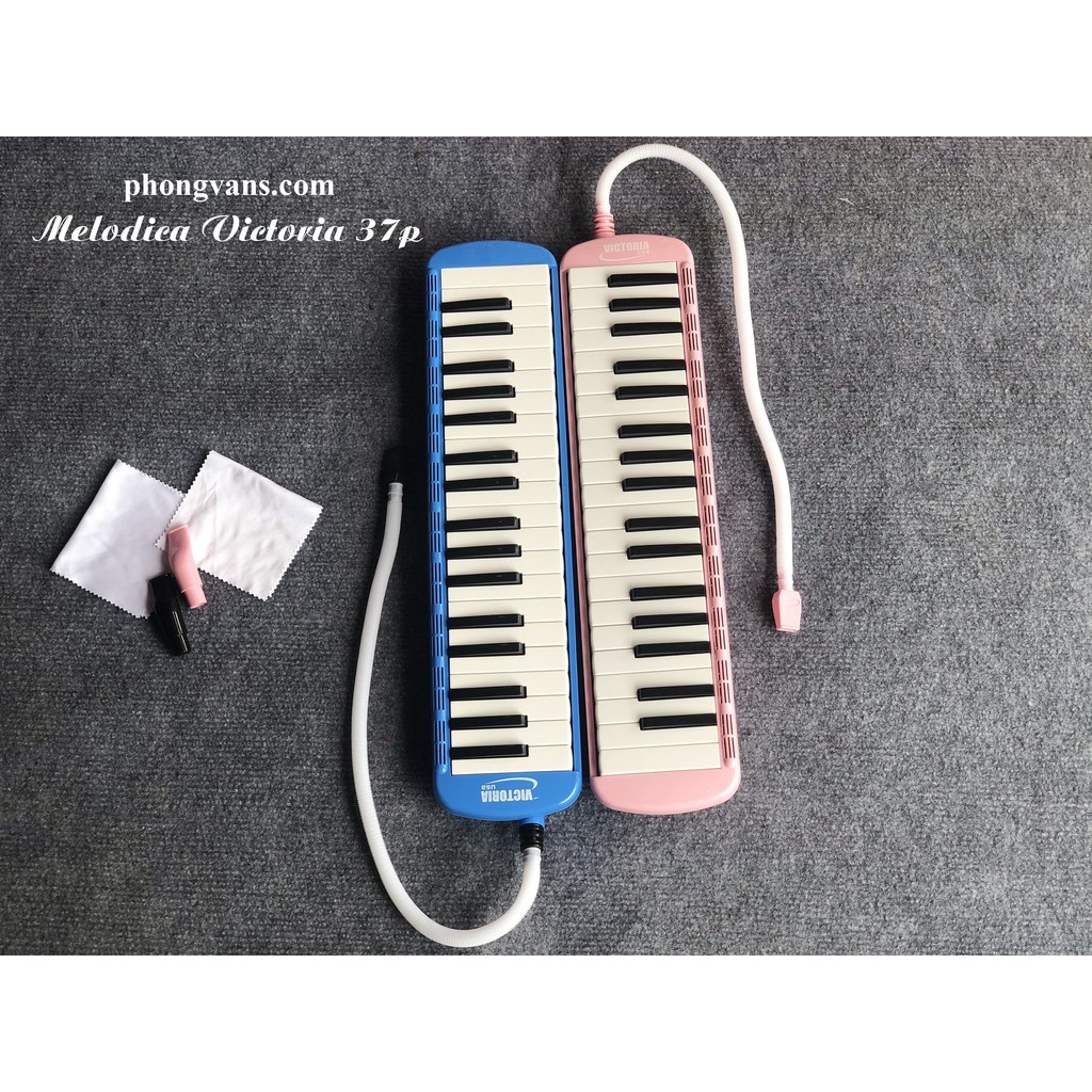 MELODICA VICTORIA 37 PHÍM