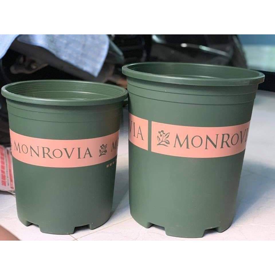 Chậu Monrovia, chậu hoa hồng 3 Gallon MONVNX3