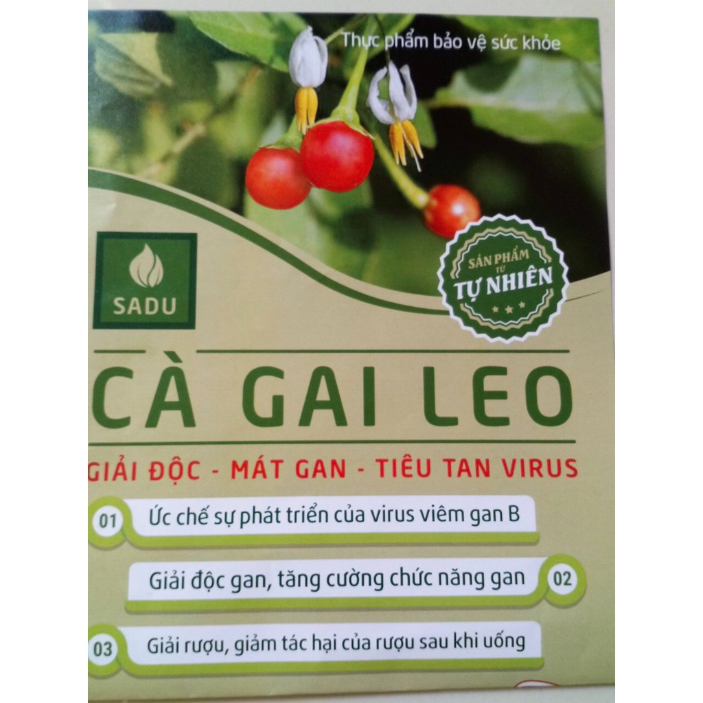 4 bịch trà cà gai leo thải độc gan