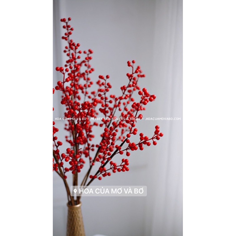 Cành đào đông (cherry) mini, quả bông, thông, trái tim 60-65cm (ảnh và video tự chụp)