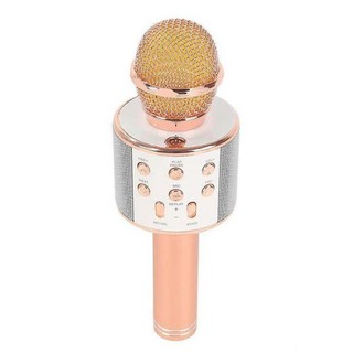 [SALE] Micro karaoke tích hợp Loa Bluetooth WS 858