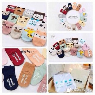 Combo 6 đôi tất cao cổ xuất hàn cho bé