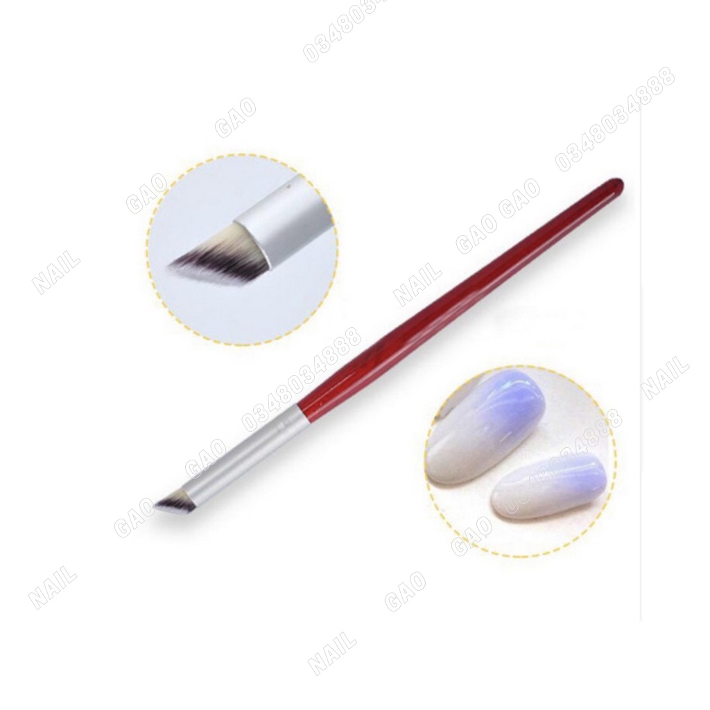 Cọ omber cán gỗ đầu tròn
