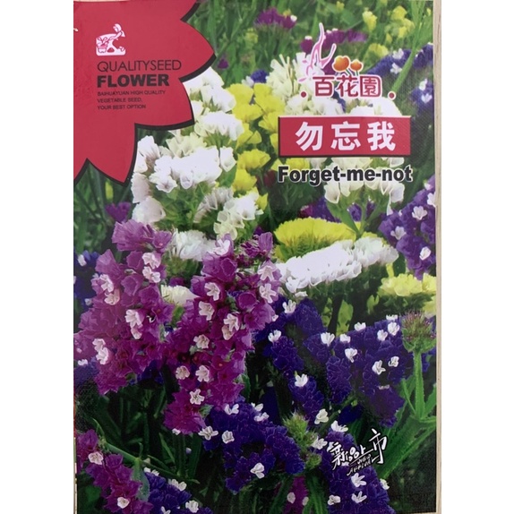 Hạt giống Hoa Salem Mix Nhập khẩu nguyên bao bì - 50 Hạt - tỷ lệ nảy mầm 90%