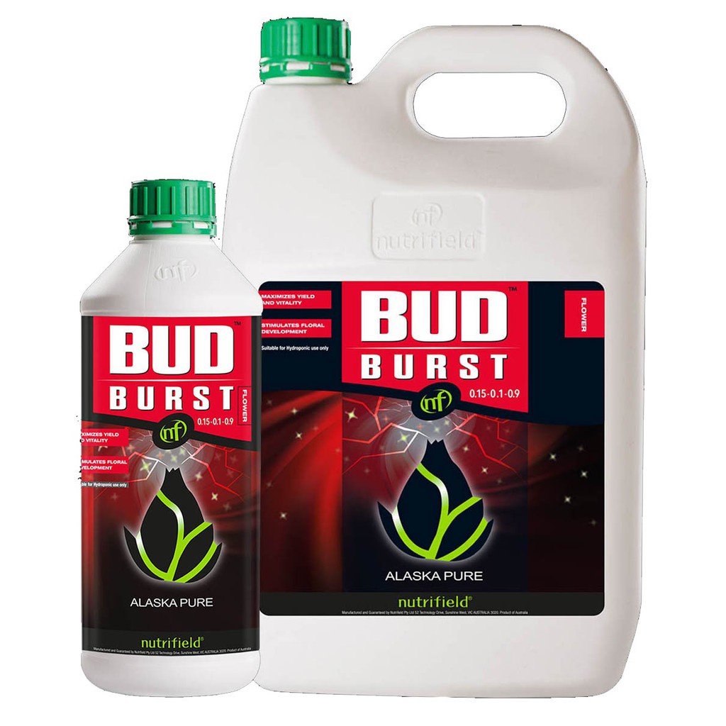 Phân Bón Bud Burst ( Tăng cường quang hợp cho cây )