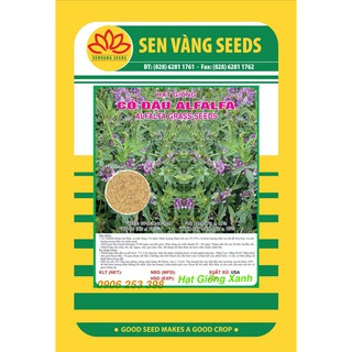 Hạt giống Cỏ Linh lăng- Cỏ họ Đậu-Cỏ chăn nuôi 100Gr năng suất dễ trồng