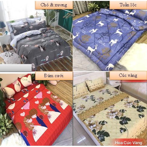 Bộ Drap ga gối poly hàn 1m8 mã hàng G1123