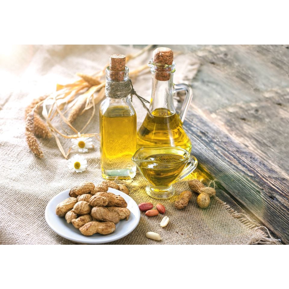 Máy ép dầu gia đình,ép dầu gia đình lạc, sachi, óc chó GD-08