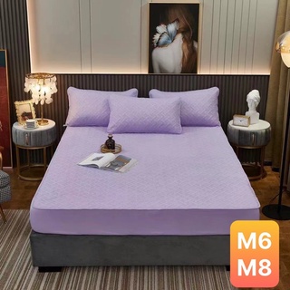 ga chống thấm cotton chun chần