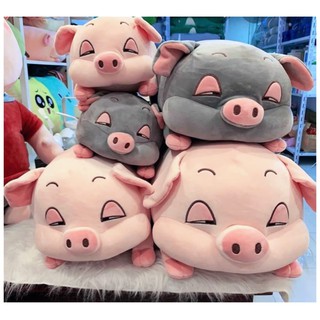 Gấu bông heo ruột bông gòn cao cấp Guco