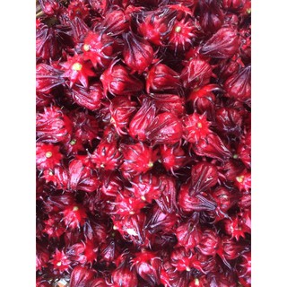 Hoa khô Atiso đỏ / Hoa bụp giấm 100gr