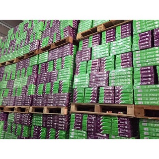 PAGI A4 - ĐL 70 gsm
