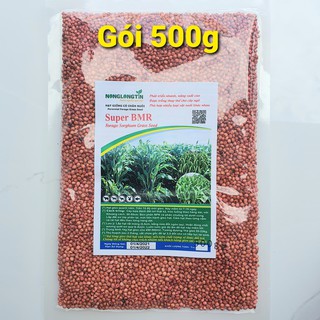 Hạt Giống Cỏ Super BMR (Gói 500g) - Giống Cỏ Chăn Nuôi Siêu Cao Lương Năng Xuất Cao