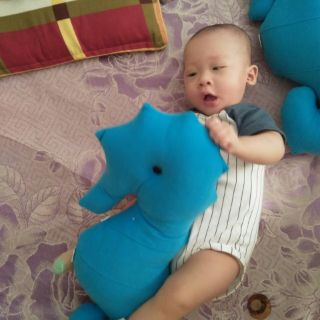 Gối ôm cá ngựa handmade