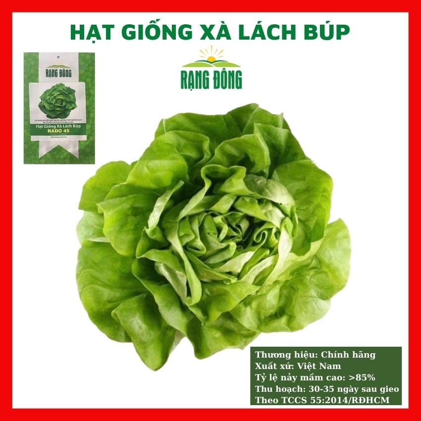 Hạt giống xà lách xoăn dạng búp cuộn dăm giòn ngọt - rau củ quả trồng chậu, vườn dễ chăm sóc 5gr RADO 45