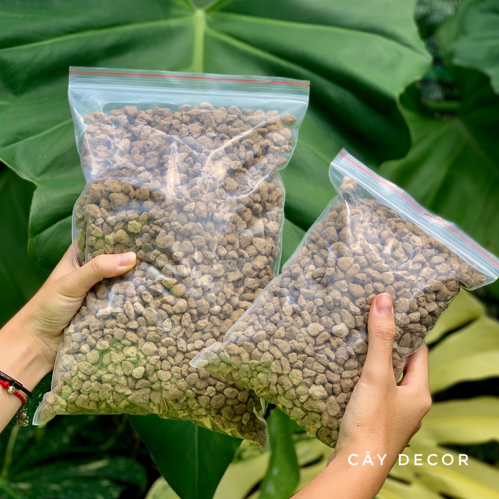 Đá Pumice  rất tốt cho kiểng lá, sen đá, xương rồng, size hạt lớn 5-8mm