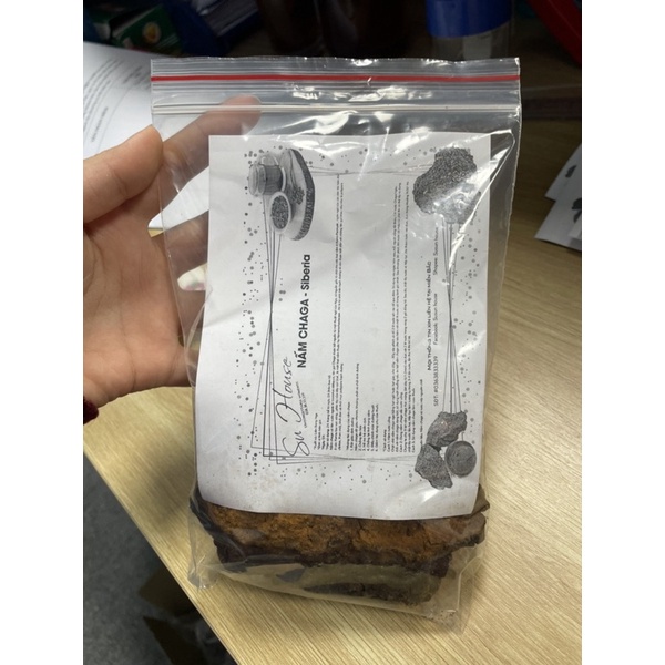 Nấm Chaga tự nhiên của Nga giàu dinh dưỡng, giảm đường huyết, mỡ máu, ngăn lão hóa, tăng hệ miễn dịch