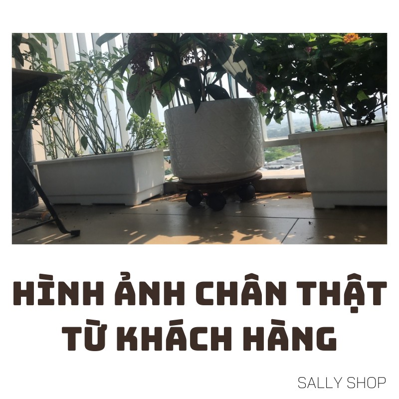 Combo 2  ĐẾ LÓT CHẬU CÂY CÓ BÁNH XE NHIỀU MÀU SẮC,ĐƯỜNG KÍNH 30CM , HÀNG CHẤT LƯỢNG-