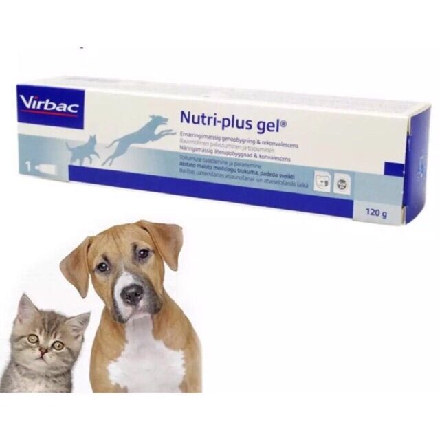 Gel dinh dưỡng nutriplus gel