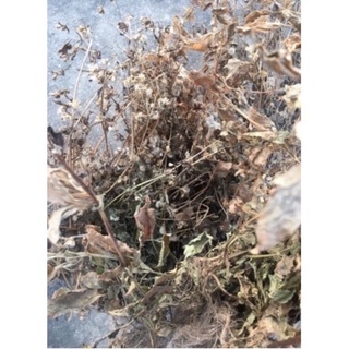 Cây ct lợn khô 1 kg ( cỏ ngũ sắc)
