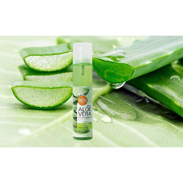 Xịt khoáng Aloe Vera WELCOS hàn quốc chiết xuất từ lô hội cung cấp dưỡng chất nuôi da, ngừa thâm mụn CD07 | BigBuy360 - bigbuy360.vn