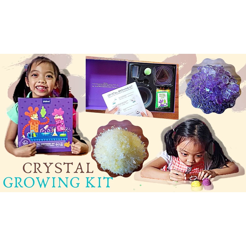 Mideer Crystal Growing Kit - Bộ trò chơi khoa học Nuôi Trồng Tinh thể và bộ Science Can 3 chú Khủng Long Mymickeyshop