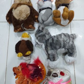 Gấu bông m mai