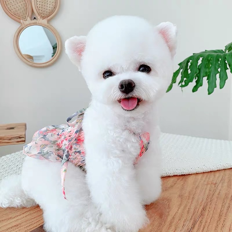 Váy yếm voan hoa cao cấp cho chó mèo, quần áo thú cưng - DP052