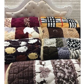 Chăn lông cừu đại hàn siêu ấm sieu dep