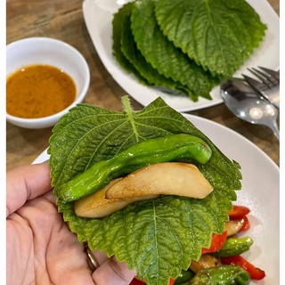 Hạt Giống Rau Thơm Mè, Lá Mè Hàn Quốc 0.5gr