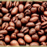 Cafe Nguyên Chất Ban Mê