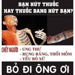 Cai Thuốc Lá Thuần Mộc 250ml