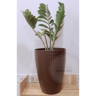 ❤️CHẬU BÔNG LÚA GIẢ SỨ SIÊU ĐẸP 35,5*27,5*17,5cm❤️