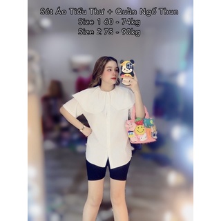 Áo Tiểu Thư Bigsize 60 - 90kg