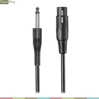 Micro Dynamic Audio Technica ATR1300X