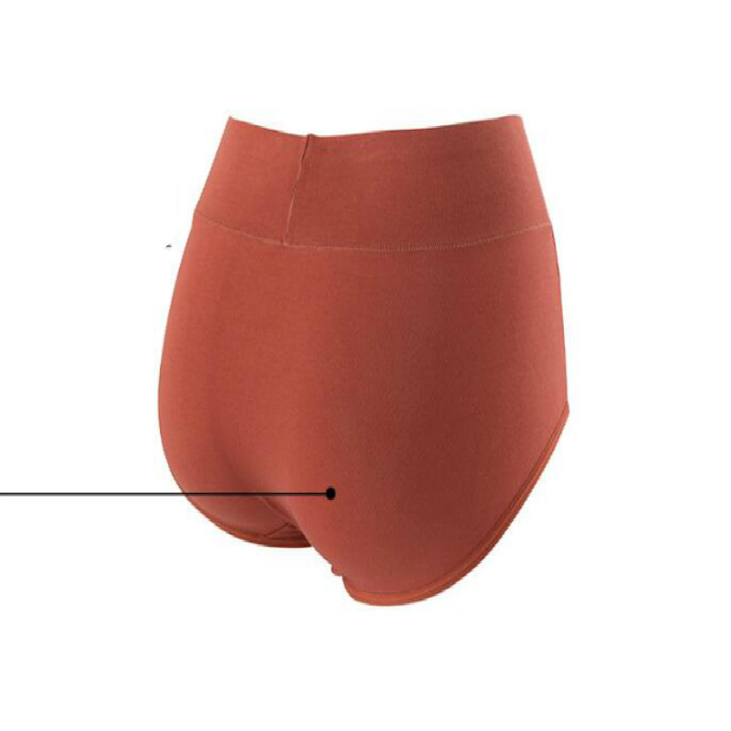 Quần Lót cotton Nguyên Chất Lưng Cao Kháng Khuẩn Có size Lớn Dành Cho Nữ Hàng Mới