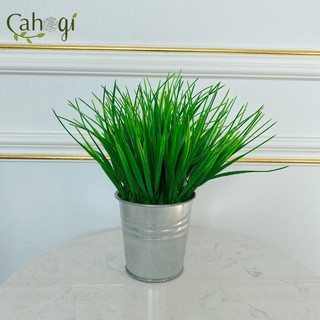 Cây Giả - Chậu Cây Lúa Non Để Bàn