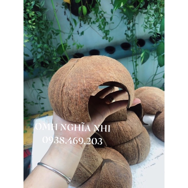 HANG GÁO DÙA TRANG TRÍ CHO PET