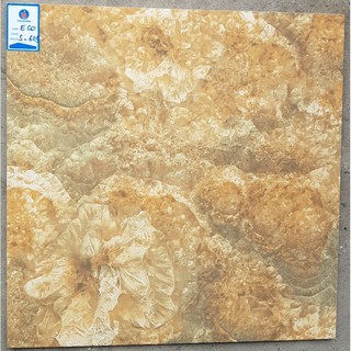Gạch lát nền Viglacera ECO-S605 - 60x60