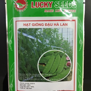 Hạt giống đậu hà lan 50g
