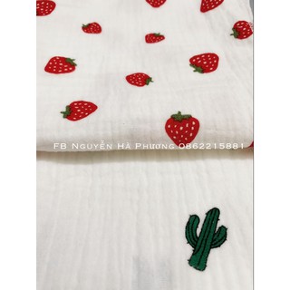 Set Khăn sữa vải xô organic