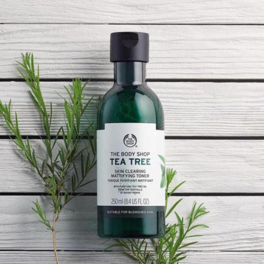 CHÍNH HÃNG Nước hoa hồng cho da dầu mụn The Body Shop Tea Tree Skin Clearing Mattifying Toner